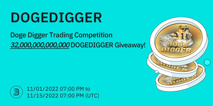 DOGEDIGGER-__-__-en__1_.jpg