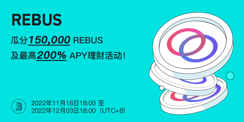 REBUS-PRO-cn.png