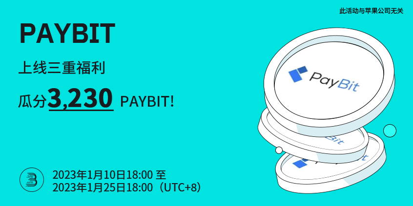 PAYBIT-Pro-cn.png