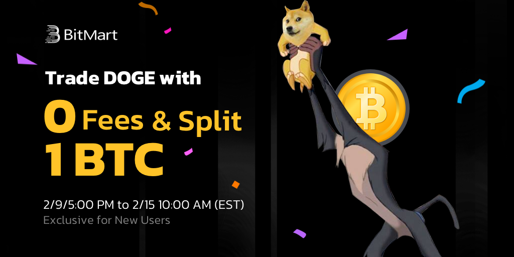 DOGEcampaign-nologo.png