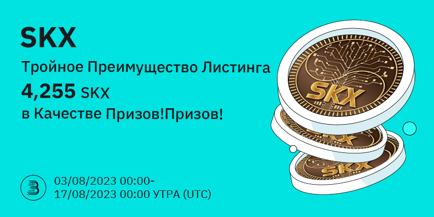 image (13).png