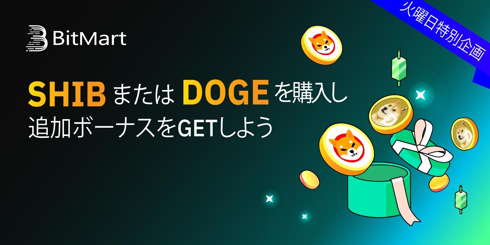 Crazy Tuesday SHIB or DOGE_JP_Twitter copy 3.jpg