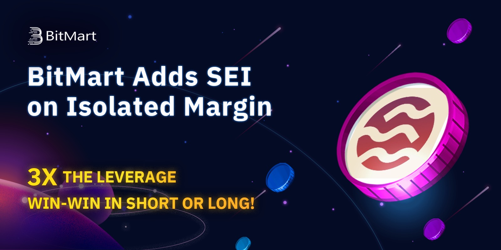 SEI margin banner en.jpeg