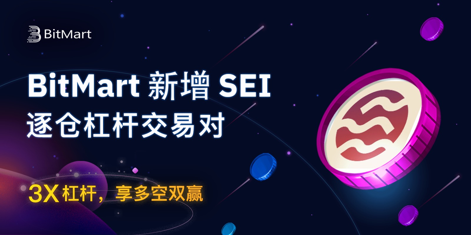 SEI Margin banner.jpeg