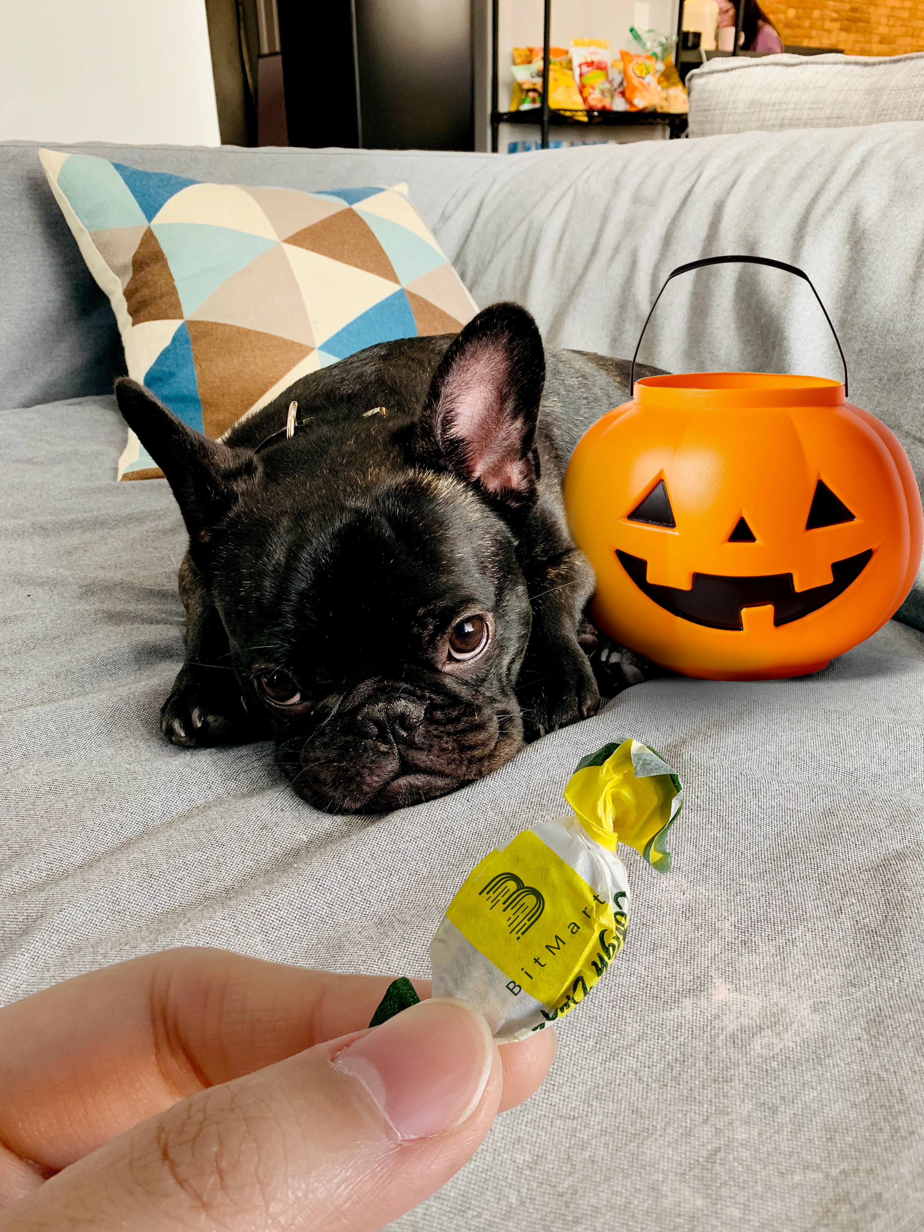 halloween.jpg