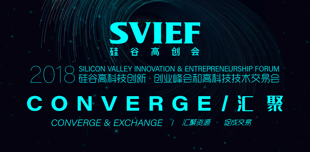 portfolio-svief-_____.png