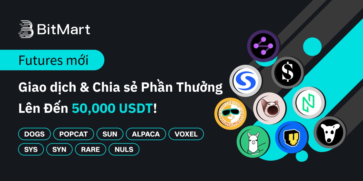 Banner - VI.png