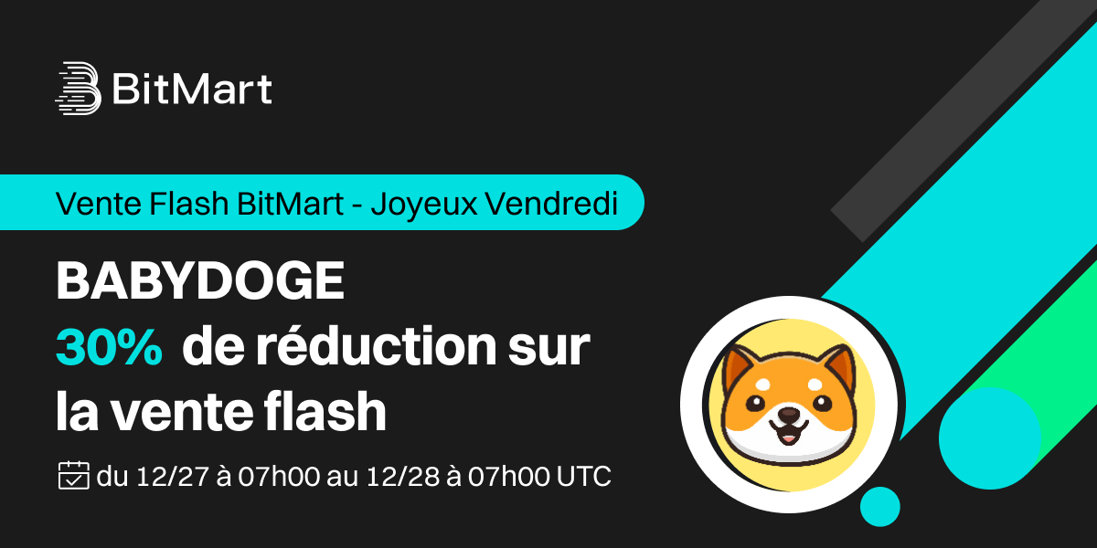 BABYDOGE Flash Sale-1200x600-FR.jpg