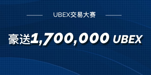 UBEX480__.jpg