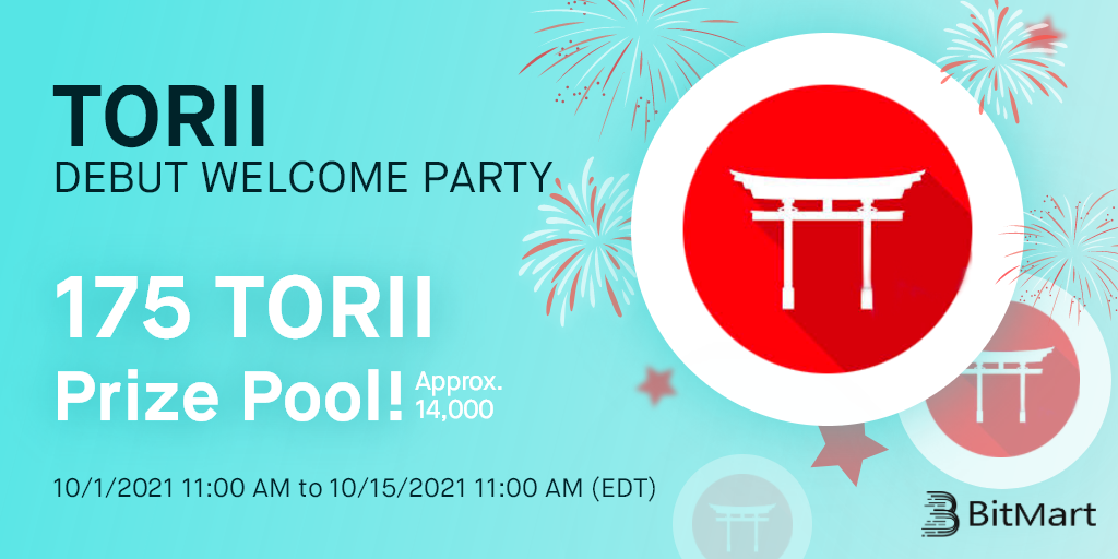 TORII-cam-en.png