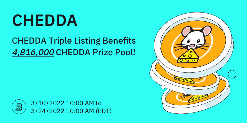 CHEDDA-__-__-en.jpg