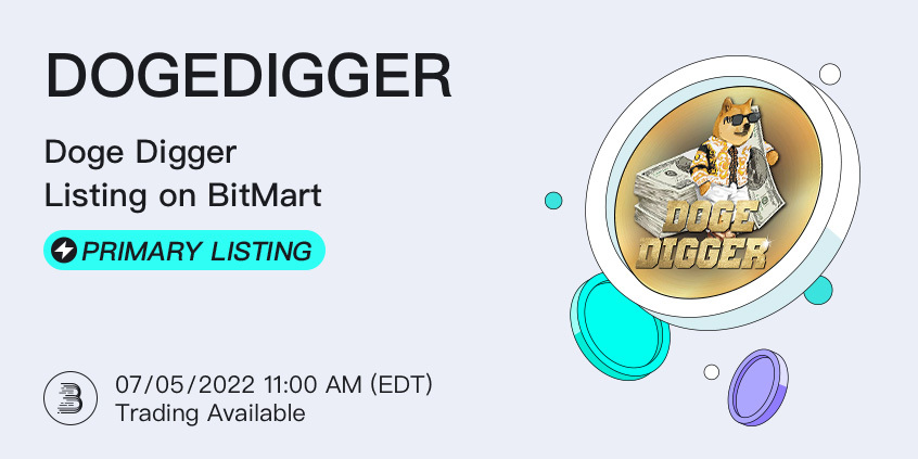 DOGEDIGGER-__-___-en.jpg